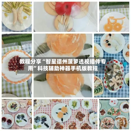 教程分享“智星德州菠萝透视插件专用”科技辅助神器手机版教程-第1张图片