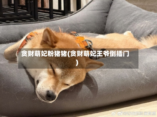 贪财萌妃粉猪猪(贪财萌妃王爷倒插门)-第1张图片