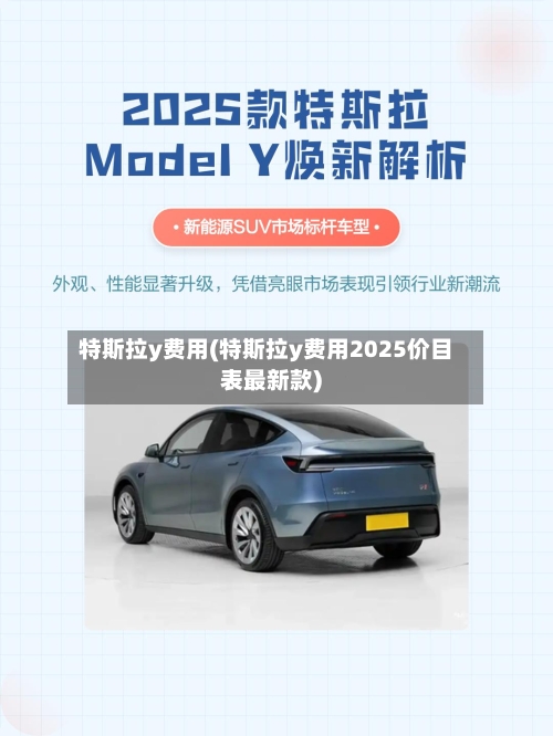 特斯拉y费用(特斯拉y费用2025价目表最新款)-第1张图片