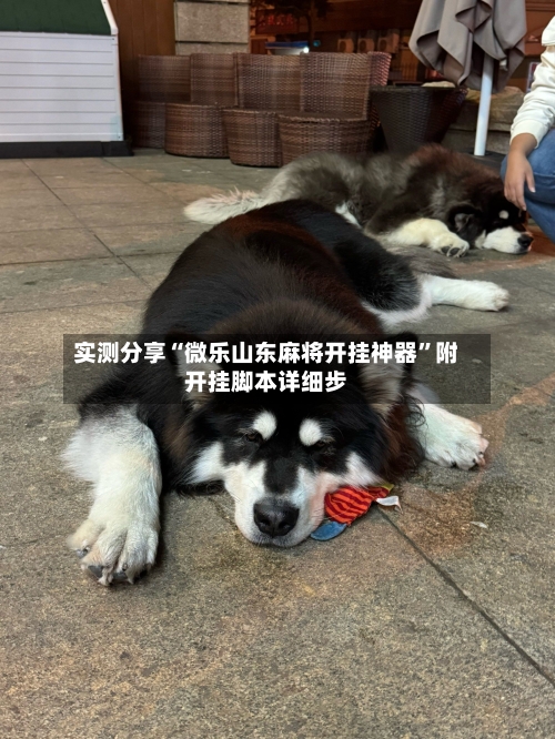 实测分享“微乐山东麻将开挂神器”附开挂脚本详细步-第1张图片