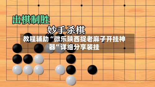 教程辅助“微乐陕西捉老麻子开挂神器	”详细分享装挂-第1张图片