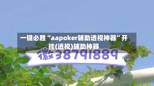 一键必胜“aapoker辅助透视神器”开挂(透视)辅助神器-第1张图片