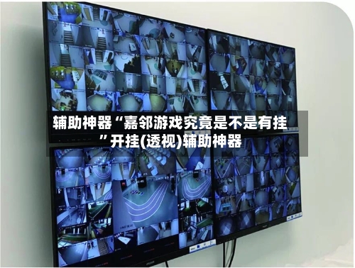 辅助神器“嘉邻游戏究竟是不是有挂”开挂(透视)辅助神器-第1张图片