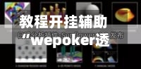 教程开挂辅助“wepoker透视辅助插件”(透视)开挂辅助脚本+详细开挂安装教程-第1张图片