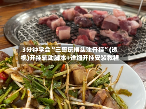 3分钟学会“三哥玩摆头注开挂”(透视)开挂辅助脚本+详细开挂安装教程-第1张图片