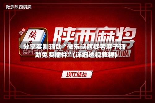 分享实测辅助“微乐陕西捉老麻子辅助免费插件”(详细透视教程)-第1张图片