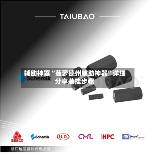 辅助神器“菠萝德州辅助神器”详细分享装挂步骤-第1张图片