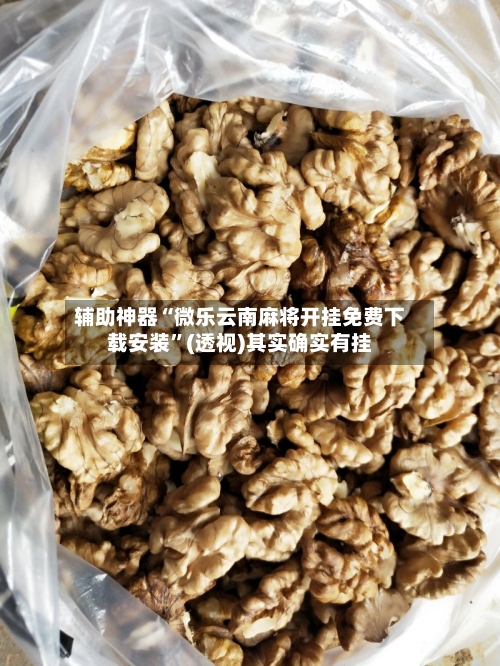 辅助神器“微乐云南麻将开挂免费下载安装”(透视)其实确实有挂-第1张图片