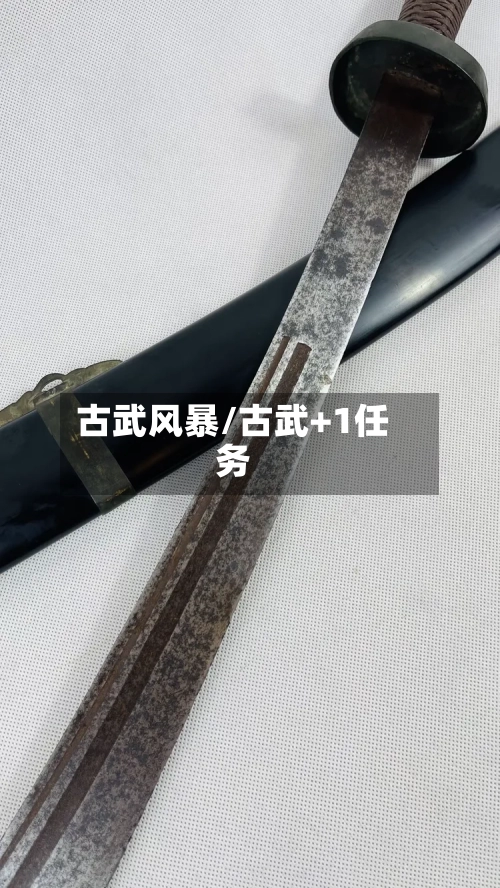古武风暴/古武+1任务-第1张图片