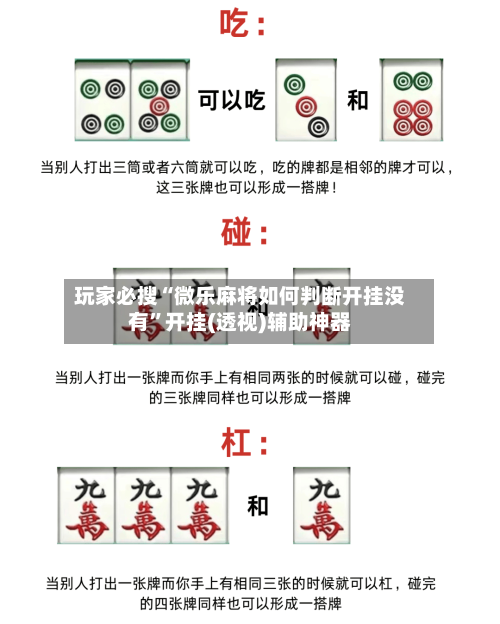 玩家必搜“微乐麻将如何判断开挂没有”开挂(透视)辅助神器-第1张图片