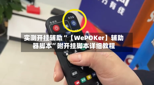实测开挂辅助“【WePOKer】辅助器脚本”附开挂脚本详细教程-第1张图片