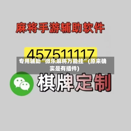 专用辅助“微乐麻将万能挂”(原来确实是有插件)-第1张图片