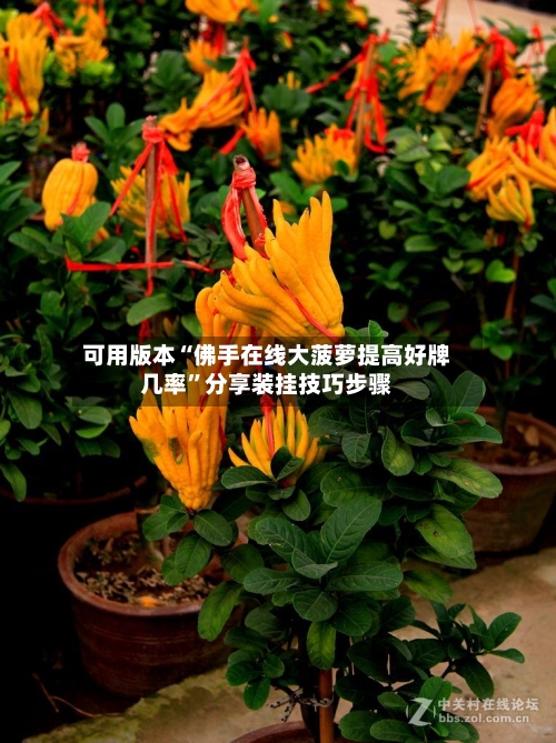 可用版本“佛手在线大菠萝提高好牌几率”分享装挂技巧步骤-第1张图片