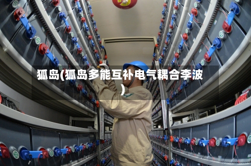 狐岛(狐岛多能互补电气耦合李波)-第1张图片