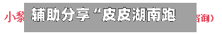 辅助分享“皮皮湖南跑胡子确实真的有挂”科技辅助神器手机版教程-第1张图片