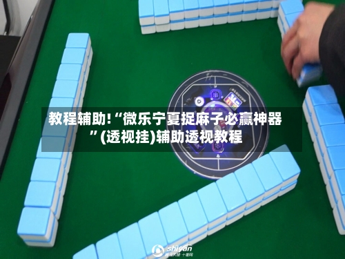 教程辅助!“微乐宁夏捉麻子必赢神器”(透视挂)辅助透视教程-第1张图片