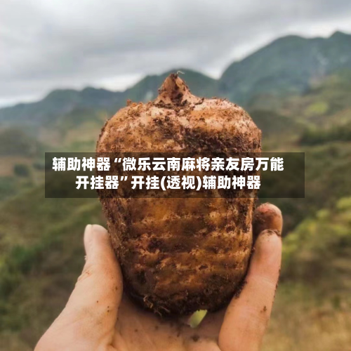 辅助神器“微乐云南麻将亲友房万能开挂器”开挂(透视)辅助神器-第1张图片