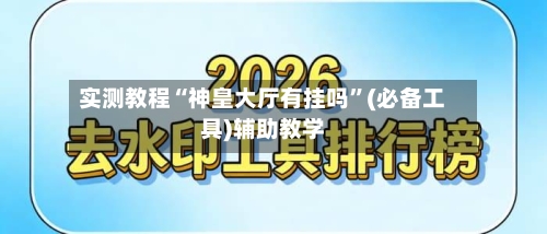 实测教程“神皇大厅有挂吗	”(必备工具)辅助教学-第1张图片