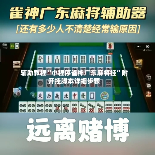 辅助教程“小程序雀神广东麻将挂	”附开挂脚本详细步骤-第1张图片