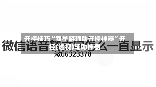 开挂技巧“新星游辅助开挂神器”开挂(透视)辅助神器-第1张图片