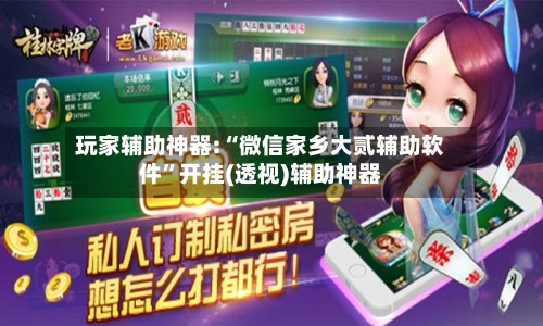 玩家辅助神器:“微信家乡大贰辅助软件	”开挂(透视)辅助神器-第1张图片