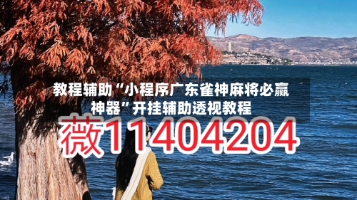 教程辅助“小程序广东雀神麻将必赢神器”开挂辅助透视教程-第1张图片