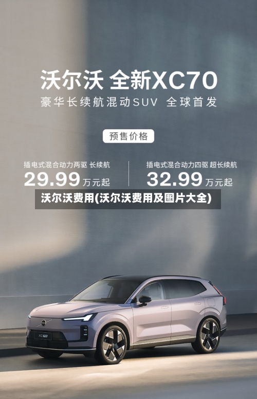 沃尔沃费用(沃尔沃费用及图片大全)-第1张图片