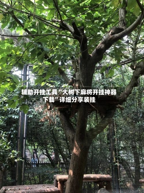 辅助开挂工具“大树下麻将开挂神器下载”详细分享装挂-第1张图片