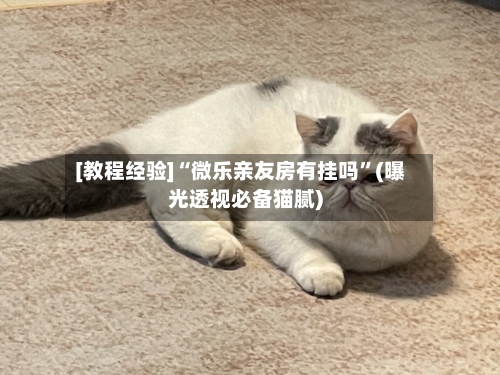 [教程经验]“微乐亲友房有挂吗”(曝光透视必备猫腻)-第1张图片