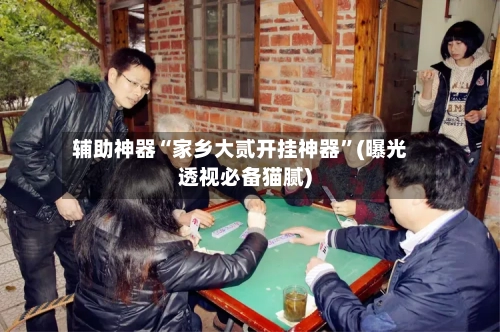 辅助神器“家乡大贰开挂神器”(曝光透视必备猫腻)-第1张图片