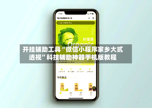 开挂辅助工具“微信小程序家乡大贰透视	”科技辅助神器手机版教程-第1张图片
