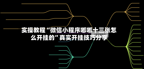 实操教程“微信小程序嘟嘟十三张怎么开挂的	”真实开挂技巧分享-第1张图片