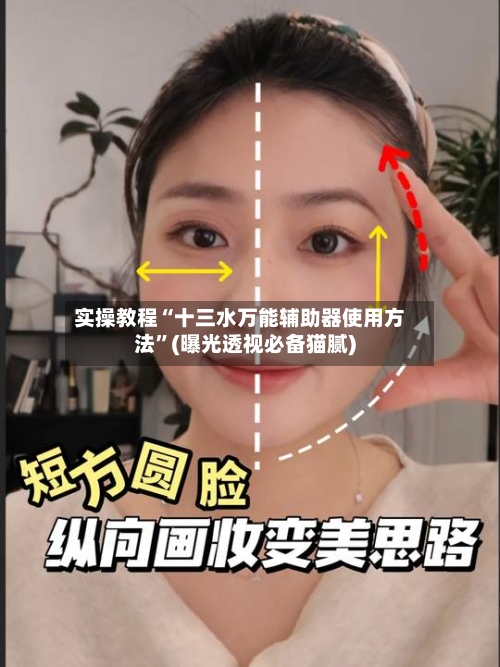 实操教程“十三水万能辅助器使用方法”(曝光透视必备猫腻)-第1张图片