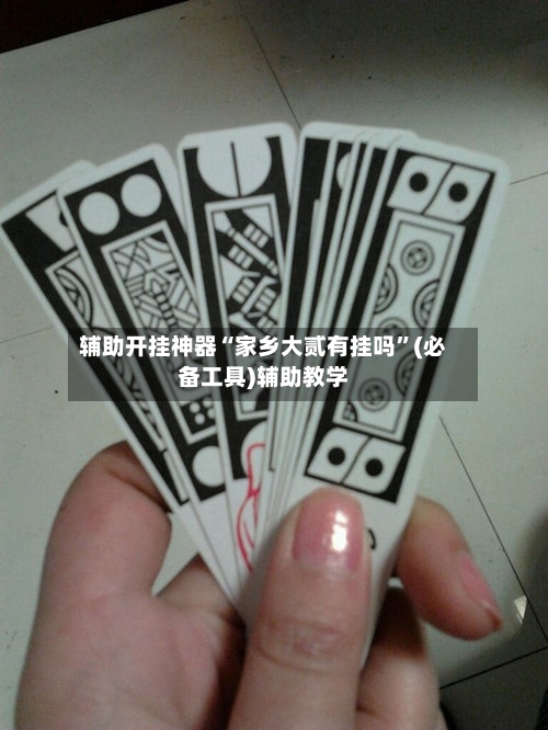 辅助开挂神器“家乡大贰有挂吗”(必备工具)辅助教学-第1张图片