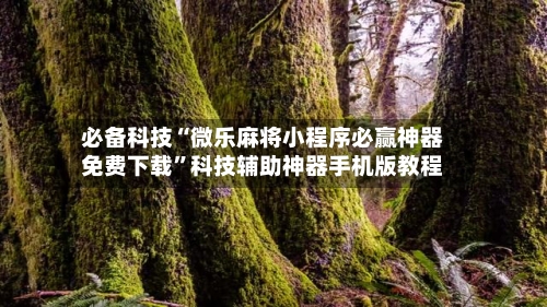 必备科技“微乐麻将小程序必赢神器免费下载”科技辅助神器手机版教程-第1张图片