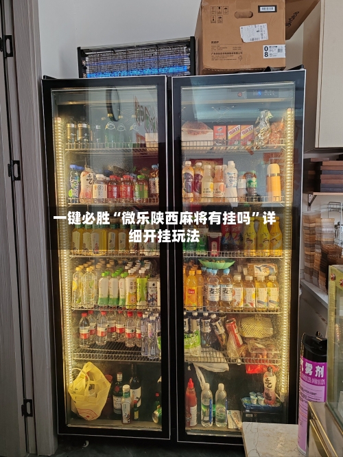 一键必胜“微乐陕西麻将有挂吗”详细开挂玩法-第1张图片