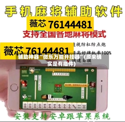 辅助神器“微乐万能开挂器”(原来确实是有插件)-第1张图片