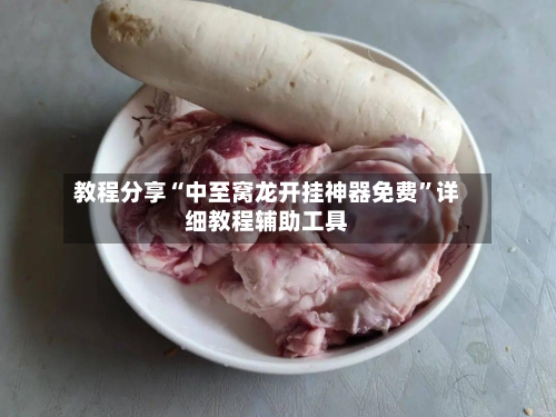 教程分享“中至窝龙开挂神器免费”详细教程辅助工具-第1张图片