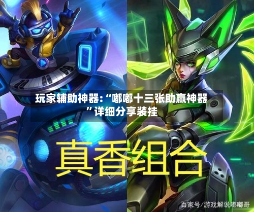 玩家辅助神器:“嘟嘟十三张助赢神器	”详细分享装挂-第1张图片