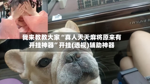 我来教教大家“真人天天麻将原来有开挂神器”开挂(透视)辅助神器-第1张图片