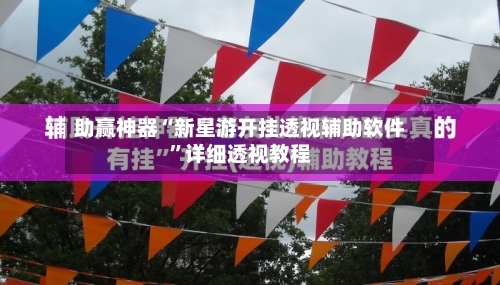 助赢神器“新星游开挂透视辅助软件	”详细透视教程-第1张图片