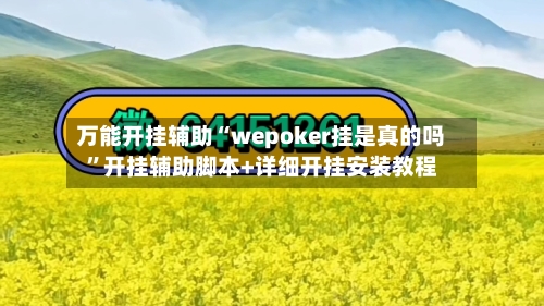 万能开挂辅助“wepoker挂是真的吗”开挂辅助脚本+详细开挂安装教程-第1张图片