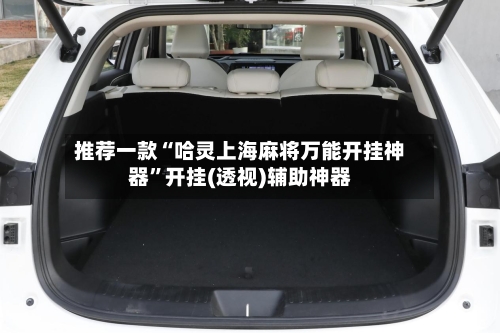 推荐一款“哈灵上海麻将万能开挂神器”开挂(透视)辅助神器-第1张图片
