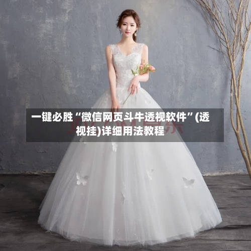 一键必胜“微信网页斗牛透视软件	”(透视挂)详细用法教程-第1张图片
