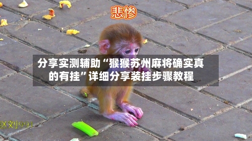 分享实测辅助“猴猴苏州麻将确实真的有挂	”详细分享装挂步骤教程-第1张图片