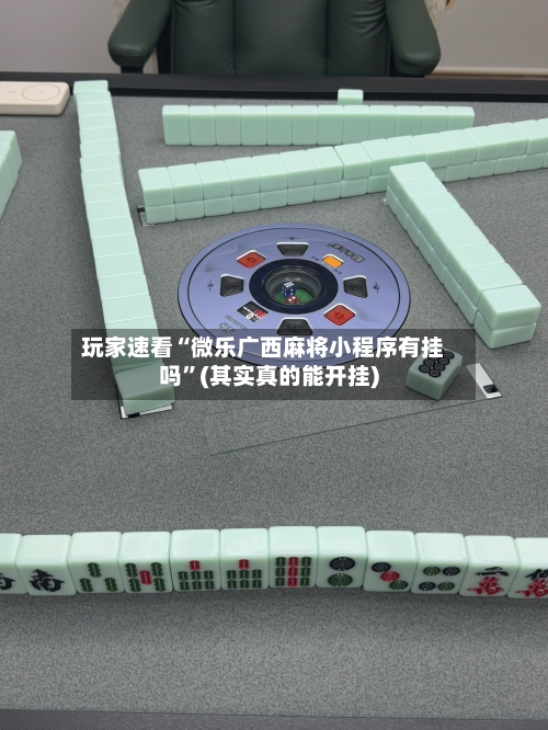 玩家速看“微乐广西麻将小程序有挂吗	”(其实真的能开挂)-第1张图片