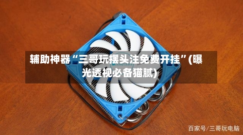 辅助神器“三哥玩摆头注免费开挂	”(曝光透视必备猫腻)-第1张图片