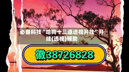 必备科技“哈狗十三道透视开挂	”开挂(透视)辅助-第1张图片