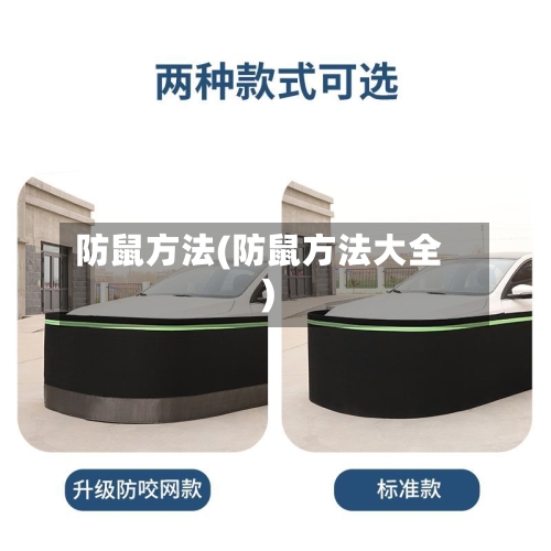 防鼠方法(防鼠方法大全)-第1张图片