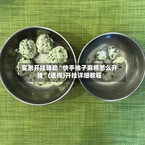 实测开挂辅助“快手柚子麻将怎么开挂”(透视)开挂详细教程-第1张图片